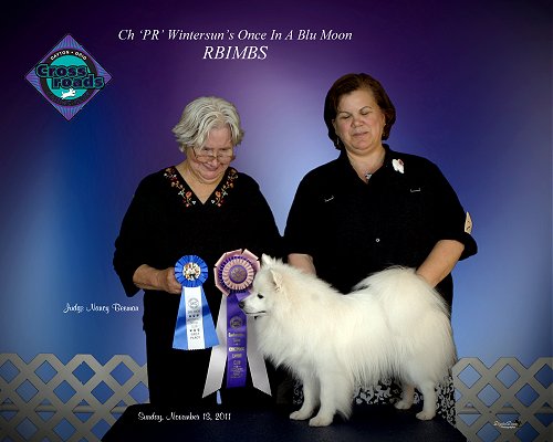 Reserve Best In Multi-Breed Show, November 18, 2011