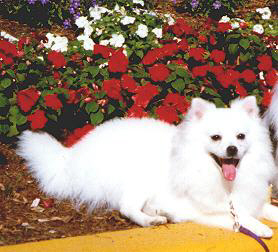 Jacy-Sunning at the Show