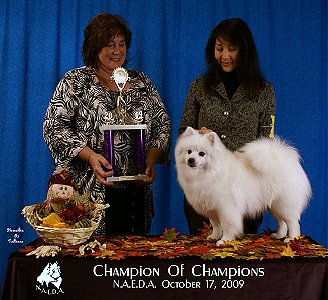 Champion of Champions - NAEDA Nationals 10-17-09