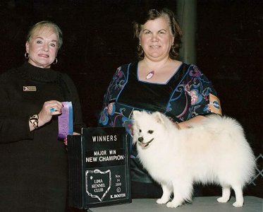 New AKC Champion!