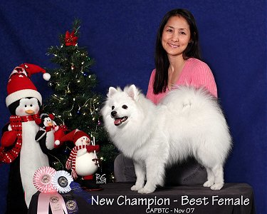 8 Months - new UKC Champion!