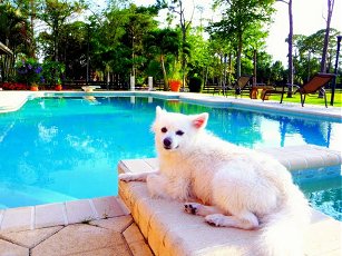 Relaxing by the pool