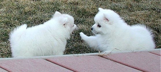 Just you shush your mouth.  (Boy 2 & Boy 1)