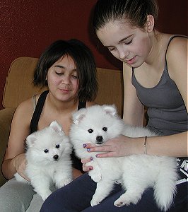 Brooklyn with girl, Shayne with boy