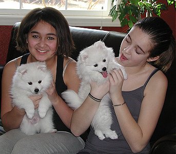 Brooklyn with boy, Shayne with girl